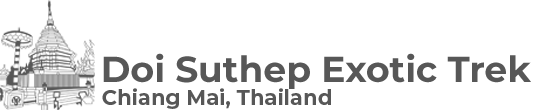 Doi Suthep Exotic Trek Chiang Mai