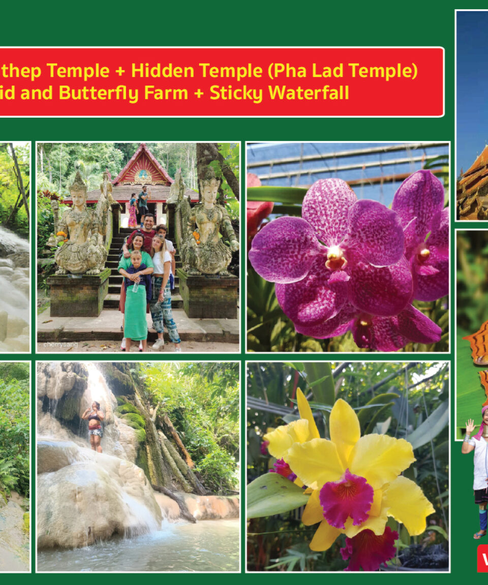 GREEN RESIZE 02-07_0