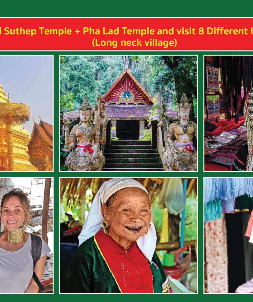 GREEN RESIZE 02-09_0